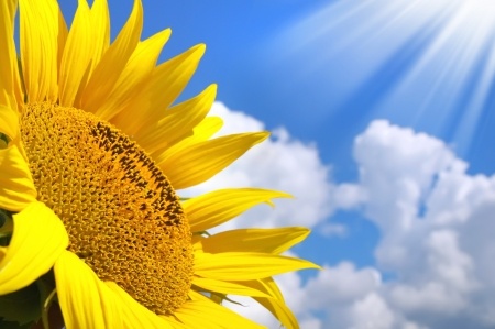 Enjoy the outside with a garden canopy - image from 123rf.com
