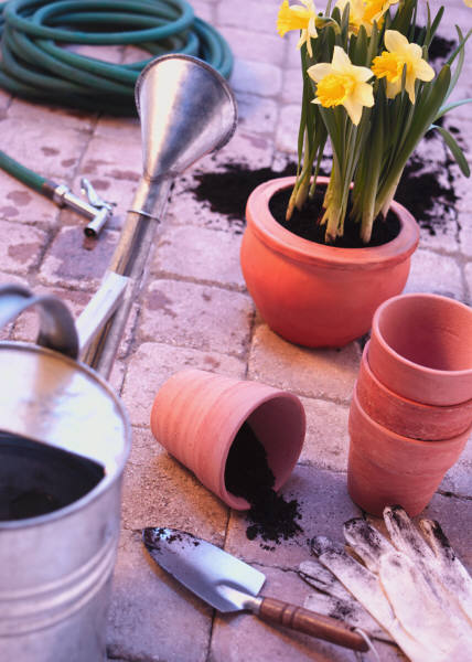 Planting under a garden canopy