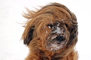 Milwood Wind and Snow Calculations